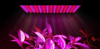 Светодиодные светильники для растений: достоинства, характеристики, сферы использования Подойдут ли светодиодные лампы для выращивания растений